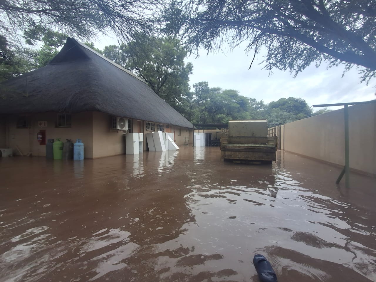 WhatsApp Image 2026-01-15 at 13.00.06